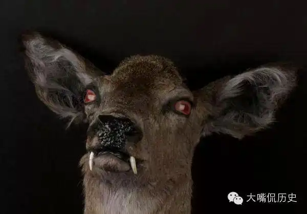 世界上最奇怪的24个动物