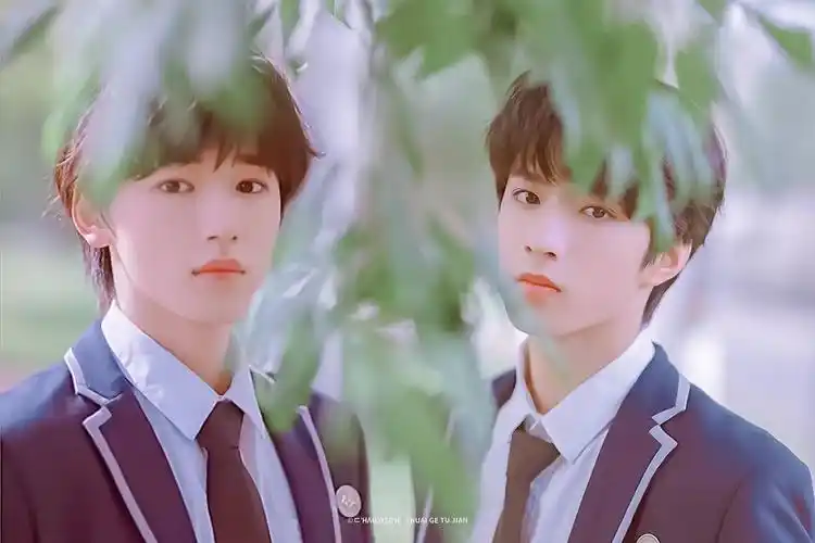 期待宋亚轩刘耀文的精彩表现祝收视长虹