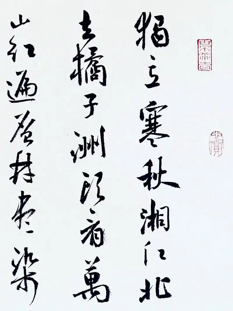 【沁园春·长沙】恰同学少年,风华正茂,书生意气,挥斥方遒,指 - 抖音