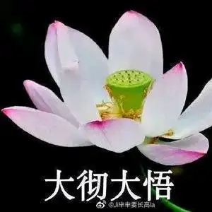 心如止水100头像