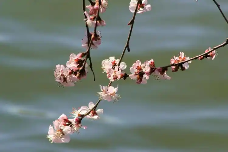 人到中年,放任有度