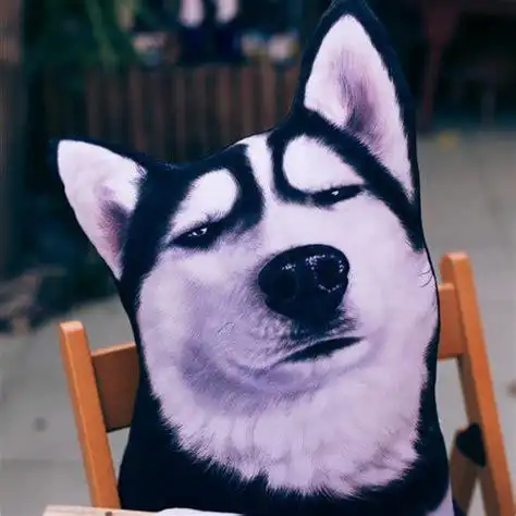 哈士奇图片搞笑表情包抖音哈士奇狗头表情包2022已更新今日热点