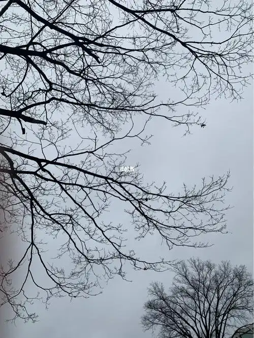 阴天🌥️_冬天去哪玩_生活记录_接地气生活