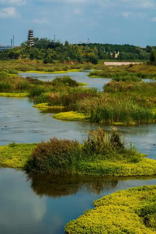 清水河莱阳五龙河的组成部分之一