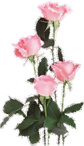 精美素材: 漂亮的透明背景gif动态花朵闪图【组图】