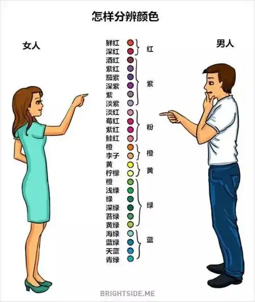 男人和女人(男人和女人的感情)