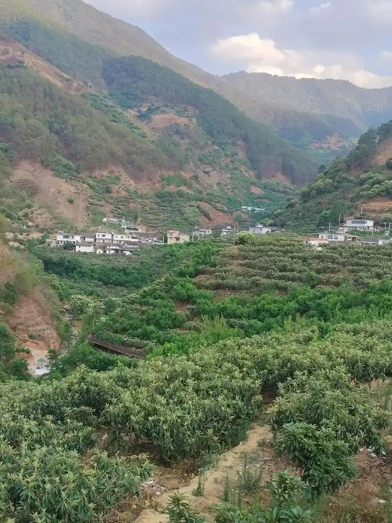 五一节,陪家人回到了老家攀枝花市盐边县渔门镇团结村(犀牛村) - 抖音