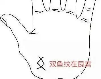 双鱼纹出现在中宫双鱼纹出现在生命线上,或者是掌心中宫位置,预示此人