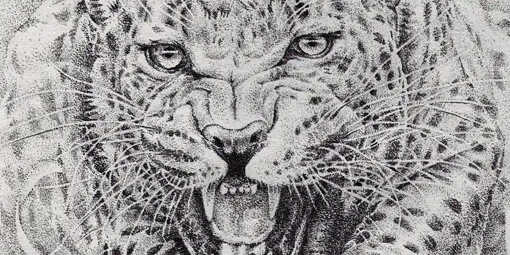 点绘——花豹|纯艺术|绘画|烟痛 - 原创作品 - 站酷 (zcool)