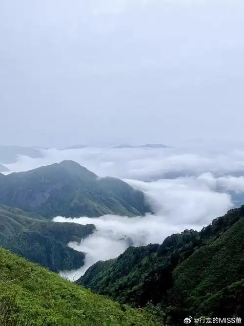 武功山##户外##武功山云海##总得来一趟武功山吧