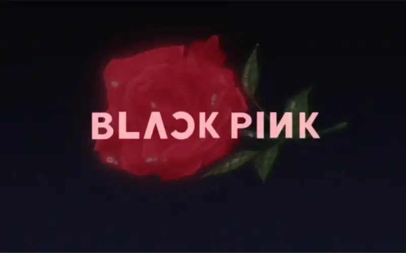 lovesickgirls小姐姐们翻跳blackpink看不够
