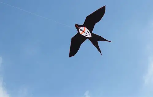 7米前撑杆黑色大燕子风筝 黑燕子 好放飞