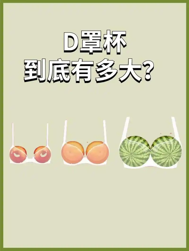 d罩杯到底有多大?04 女生们,请不要管男生喜欢多大的93.