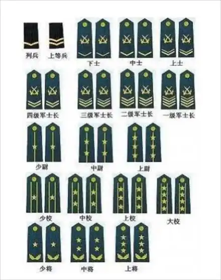 部队军衔等级排名(士兵军衔按兵役性质划分)