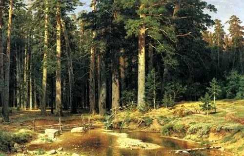 伊万·希什金(ivan shishkin),《桅杆树丛》,1898年