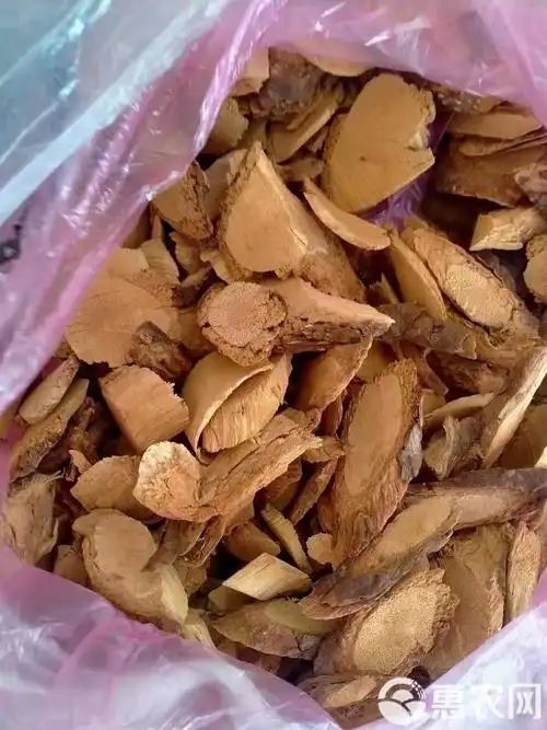 猕猴桃根白猕猴桃根