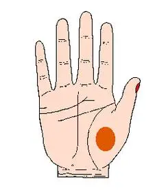 手相金星丘有痣