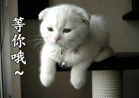 8:00~11:30 感谢一路有你 今后也请与我同行 风里雨里 小编一直等你