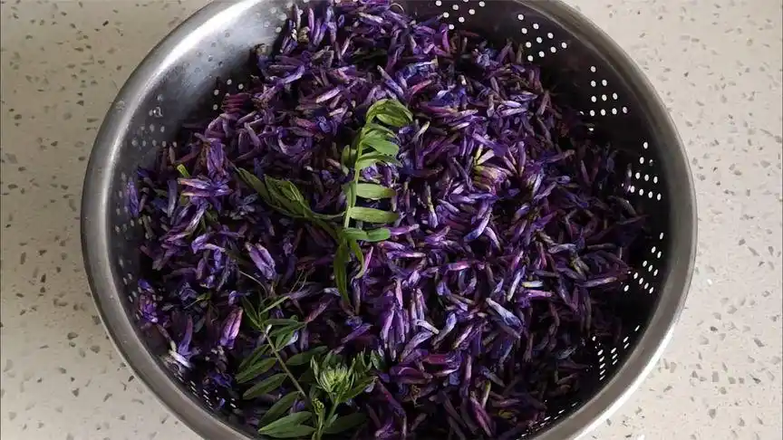 野菜飘香-粉蒸野豌豆花-美食视频-搜狐视频