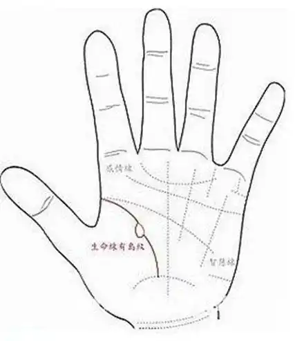 女人左手有两条生命线图解