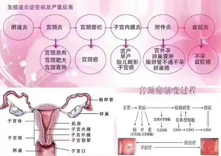 有用过幽诺女神的吗?有效果安全吗,都有什么作用?