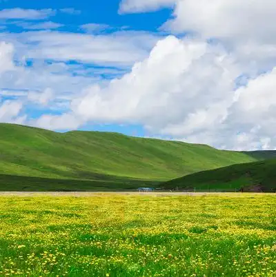 世界上最大的草原是哪个 世界十大最著名的草原-方日排行