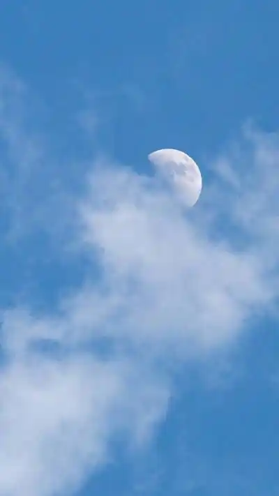 天空纯粹的蓝 #蓝天白云 #壁纸 #天蓝色