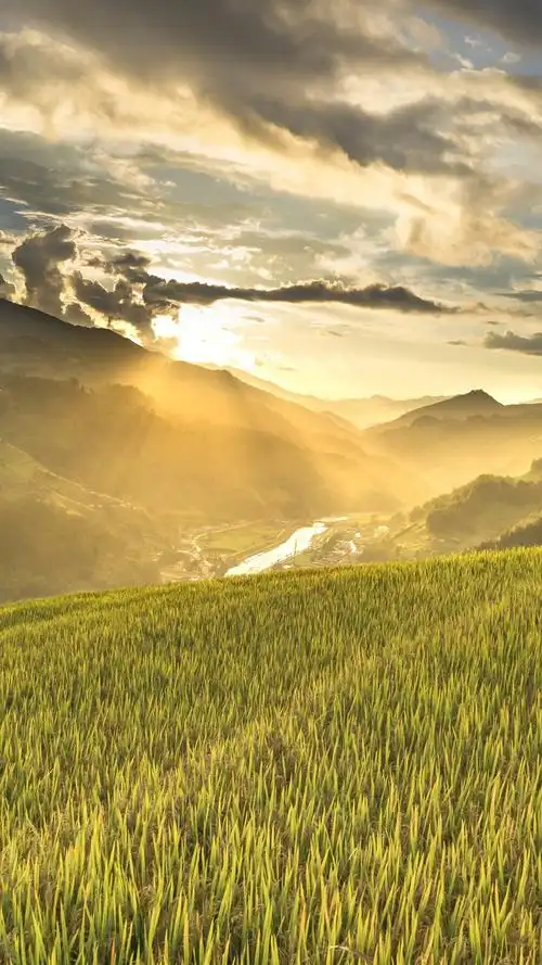 越南,稻田,山,坡,房子,早晨,云彩,日出 iphone 壁纸