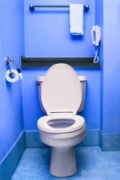 干净的厕所座位碗厕所蓝色 wc 室内洗手间酒店