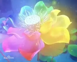 七色彩莲动画果宝特攻系列中的圣物