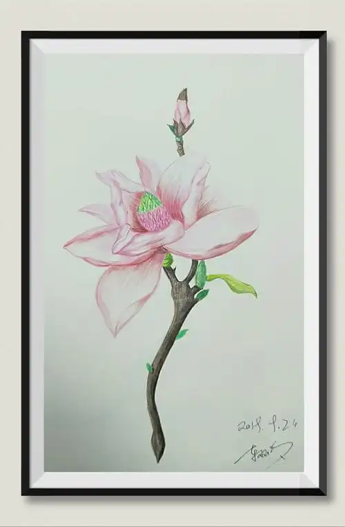 彩铅,简约装饰画作品集