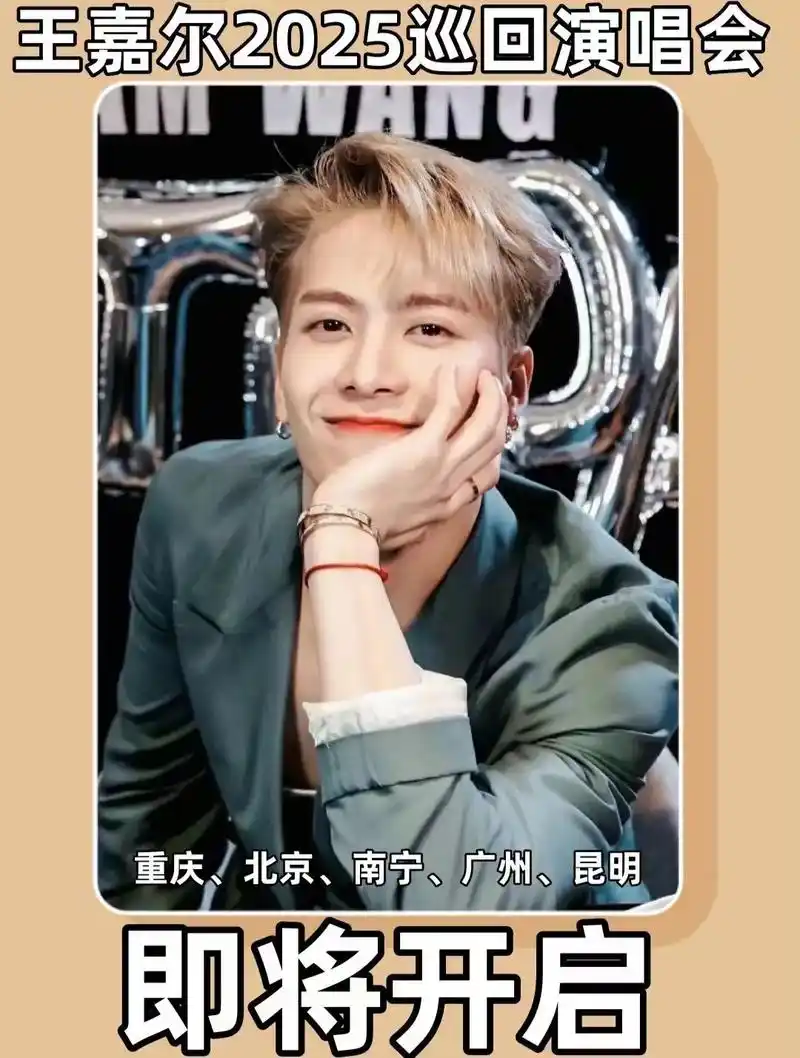 明星个唱盘.王嘉尔2025演唱巡回,体育场规格拿的数量有要求