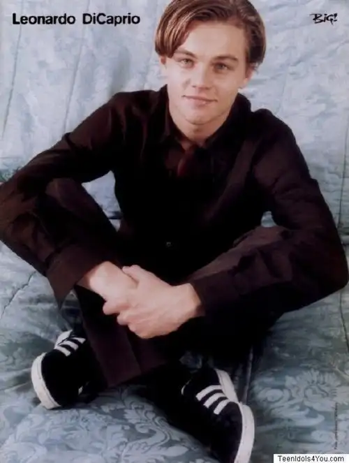 小李子……好嫩啊-堆糖,美好生活研究所