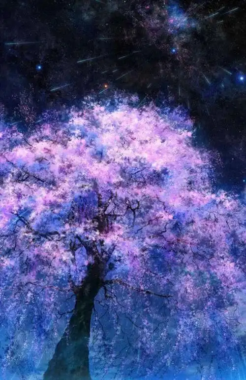 唯美星空樱花图片