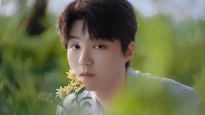 王俊凯代言植物医生