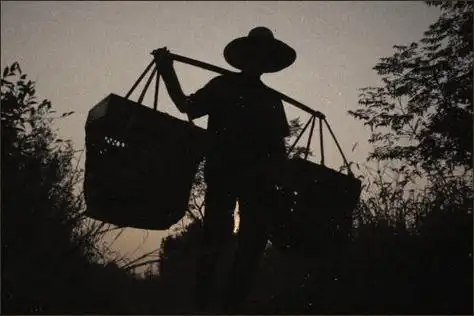 鸡毛换糖鸡毛干嘛用(故事原型鸡毛飞上天为什么用鸡毛换糖) | 百科