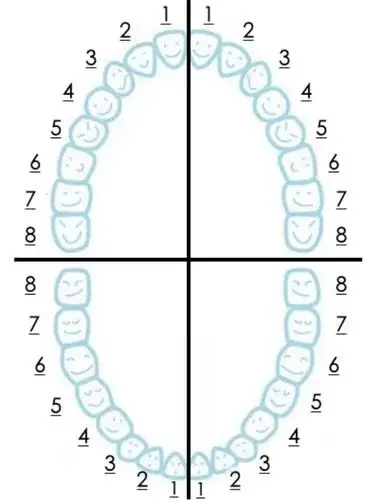 说起口腔最基本的保健手段,莫过于刷牙了,但其实很多人的刷牙是"假
