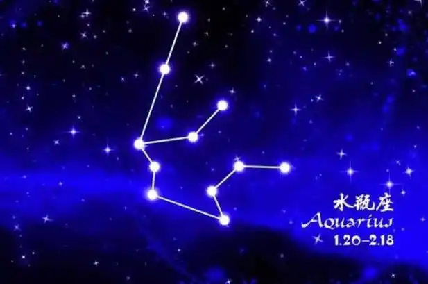 什么叫金星水瓶座