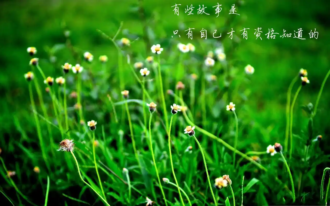 首页 桌面壁纸 精选每日心语非主流治愈系图片伤感文字语录高清电脑