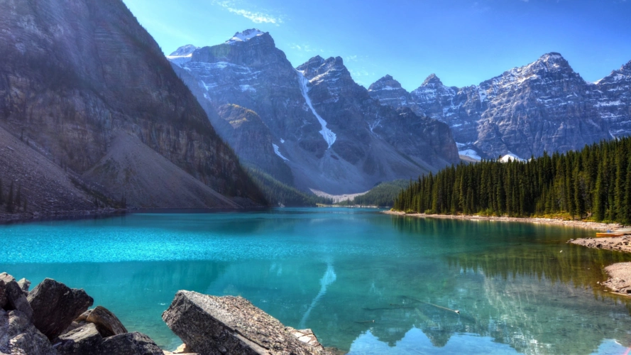 电脑动态壁纸wallpaperengine一周电脑动态壁纸精选第十二期