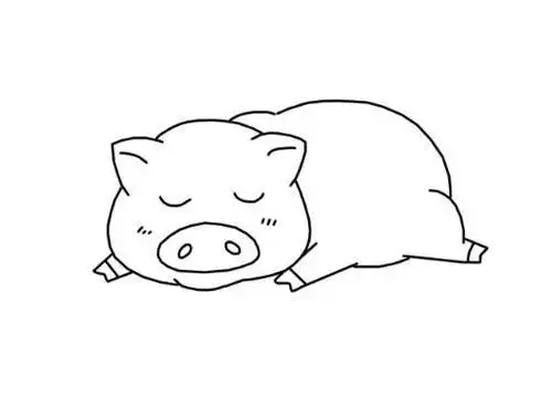 睡觉的野猪简笔画