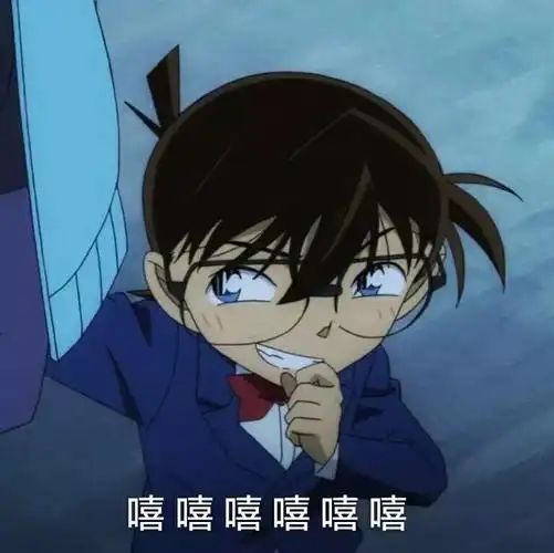 柯南表情包来袭