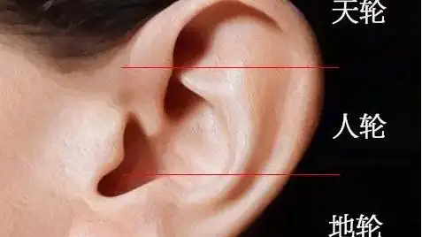 从耳朵看命运 | 面相
