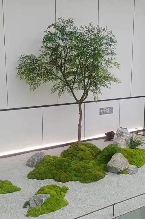 67日式枯山水室内景观,素雅宁静,禅意悠远._事物_美学_趣味