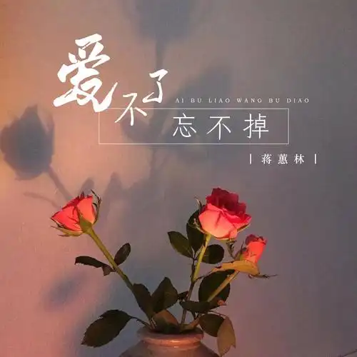 蒋蕙林爱不了忘不掉dj默涵版