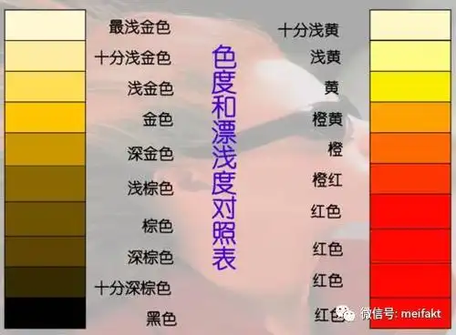 【烫染课件】色素和漂浅度数,天然色度的区分