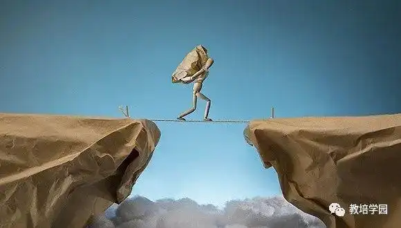 割韭菜式的转型法,正成为压垮学科类培训机构的最后一根稻草