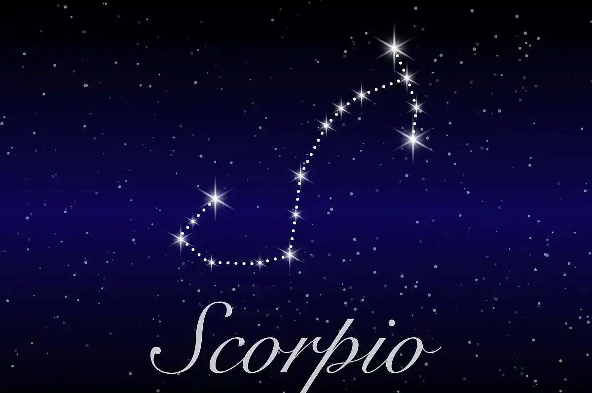 天蝎座:我自古风情万种