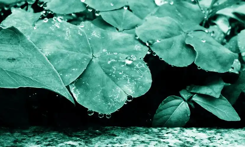 静-定格时间壁纸图片