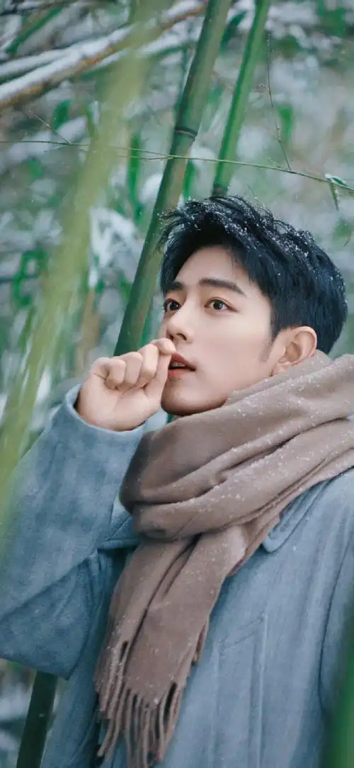 肖战超话#肖战冬至竹林大片#有肖战的冬季,浪漫,唯美,又温暖 !